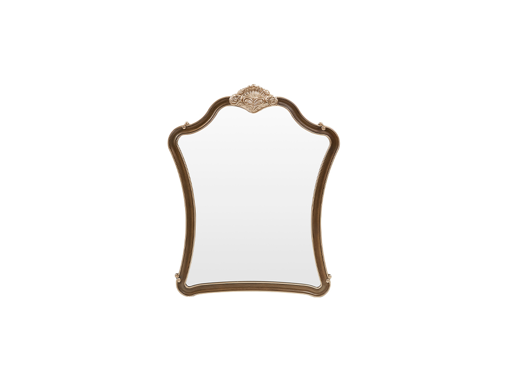 RF21Q1 Makeup mirror