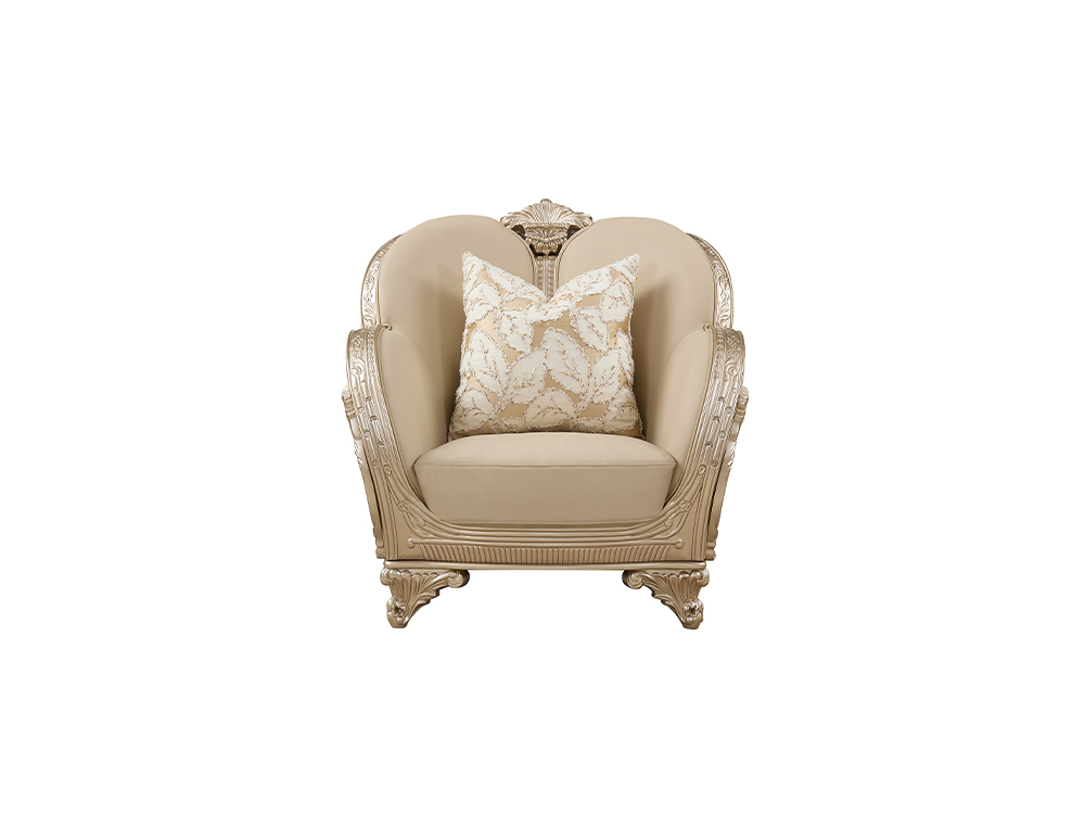 RF20C2 Leisure chair